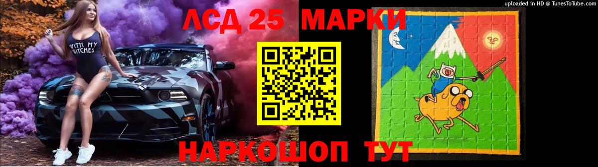 мега ТОР  ЛСД экстази ecstasy  Вход с VPN  Новотроицк  LSD-25 экстази 